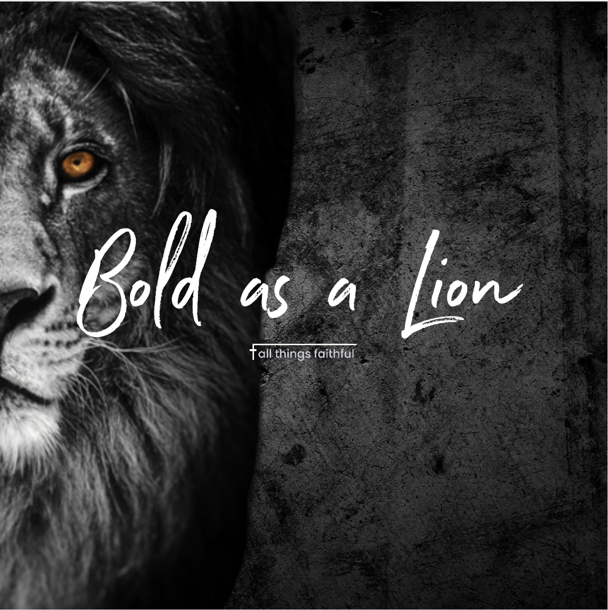 devotional-boldasalion-allthingsfaithful